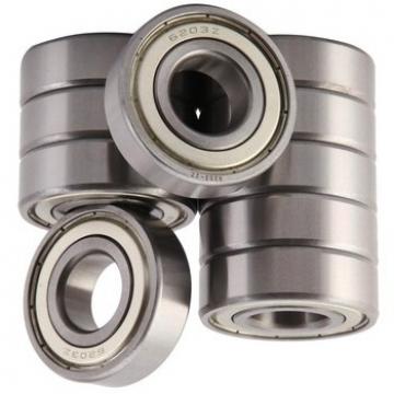 bearing skf groove ball bearing 6405-2Z/2RS 6406-2Z/2RS 6407-2Z/2RS