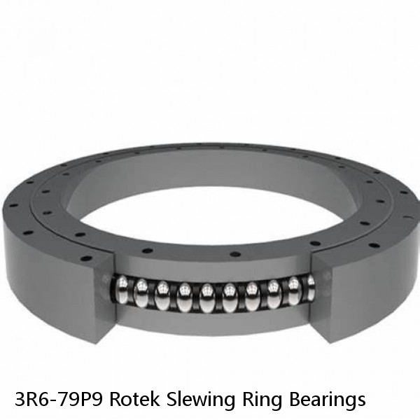 3R6-79P9 Rotek Slewing Ring Bearings