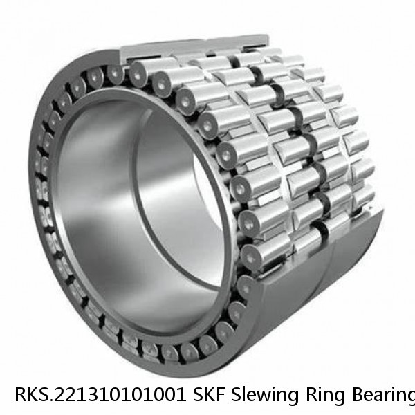 RKS.221310101001 SKF Slewing Ring Bearings