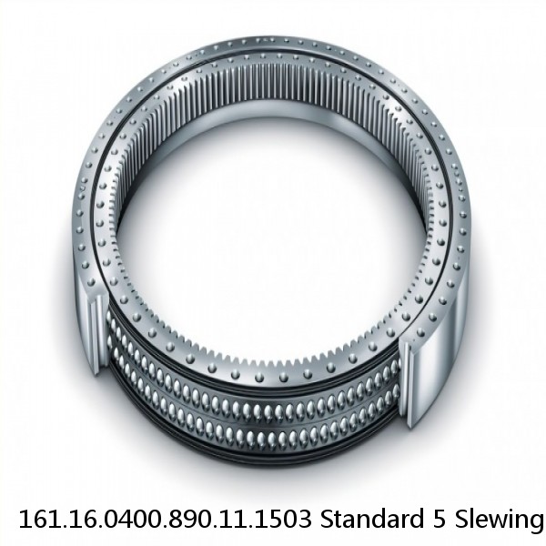 161.16.0400.890.11.1503 Standard 5 Slewing Ring Bearings