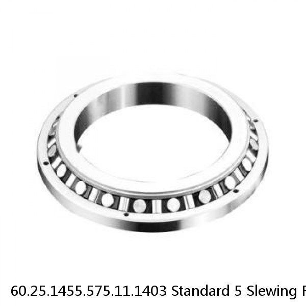 60.25.1455.575.11.1403 Standard 5 Slewing Ring Bearings