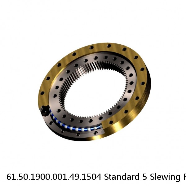 61.50.1900.001.49.1504 Standard 5 Slewing Ring Bearings