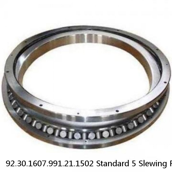 92.30.1607.991.21.1502 Standard 5 Slewing Ring Bearings