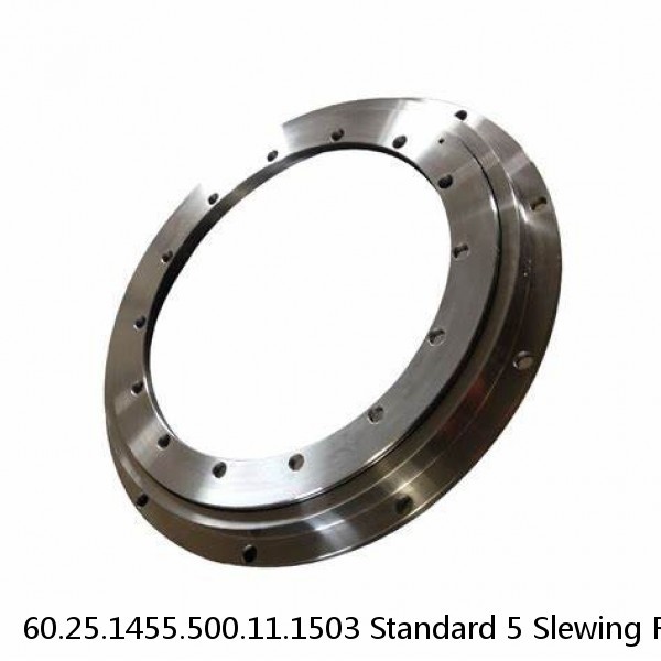 60.25.1455.500.11.1503 Standard 5 Slewing Ring Bearings