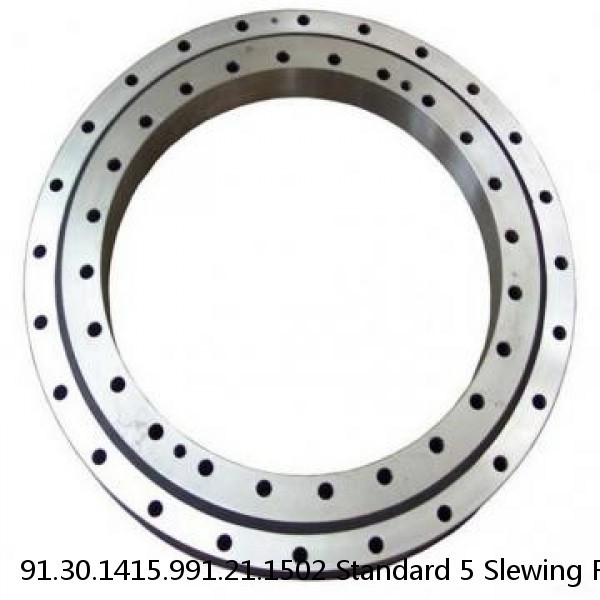 91.30.1415.991.21.1502 Standard 5 Slewing Ring Bearings