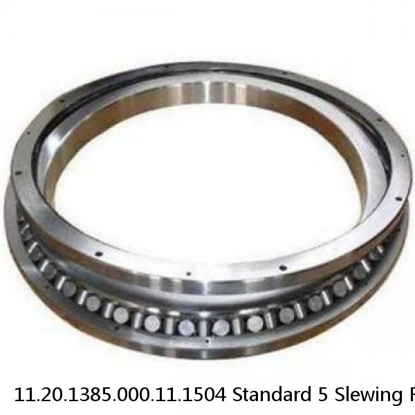 11.20.1385.000.11.1504 Standard 5 Slewing Ring Bearings