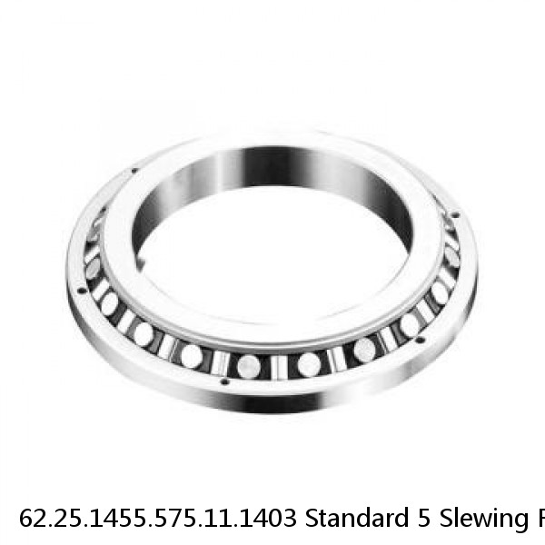 62.25.1455.575.11.1403 Standard 5 Slewing Ring Bearings