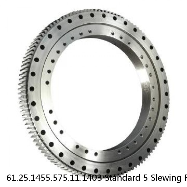 61.25.1455.575.11.1403 Standard 5 Slewing Ring Bearings