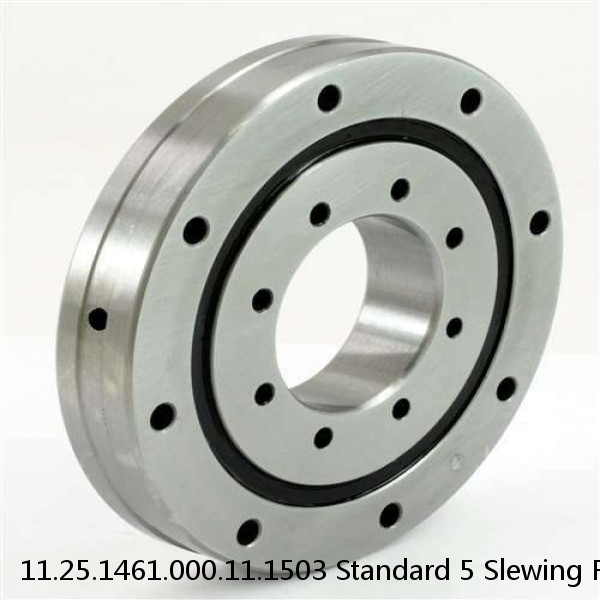 11.25.1461.000.11.1503 Standard 5 Slewing Ring Bearings