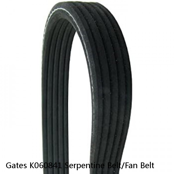 Gates K060841 Serpentine Belt/Fan Belt