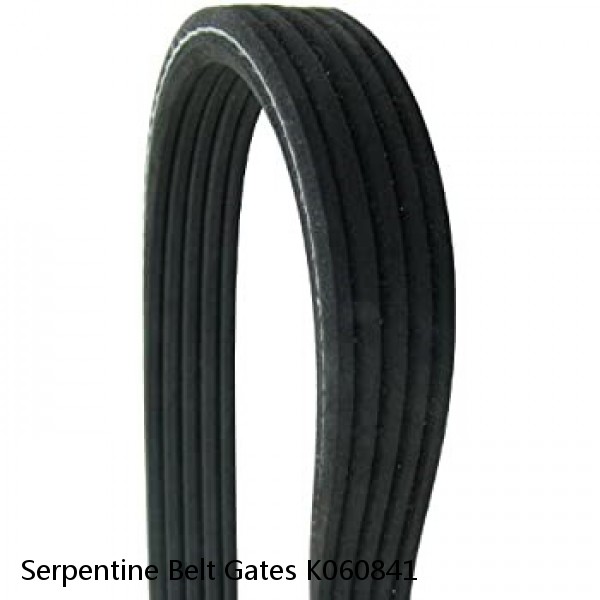 Serpentine Belt Gates K060841