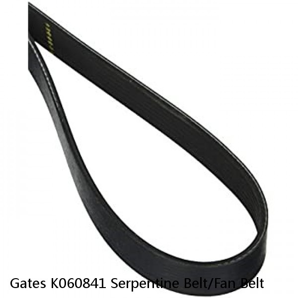 Gates K060841 Serpentine Belt/Fan Belt